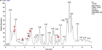 In Vitro Antibacterial Experiment of Fuzheng Jiedu Huayu Decoction Against Multidrug-Resistant Pseudomonas aeruginosa